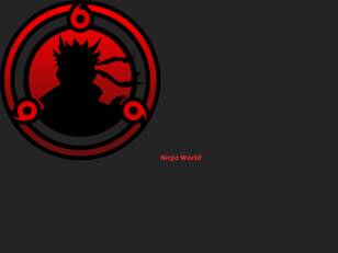NINJA WORLD